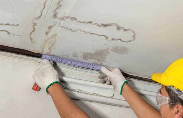 Reliable Water Damage Restoration contractor in Glen Dale, WV by Water Damage Irwin